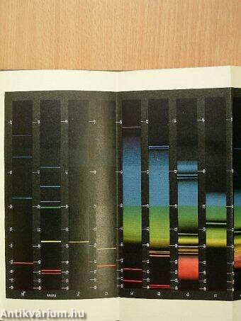 Lehrbuch der anorganischen chemie