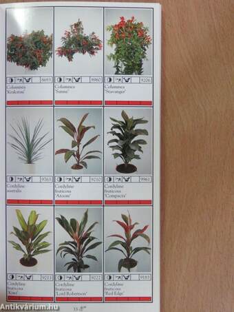 Potplanten/Pot Plants/Topfpflanzen/Plantes en pot/Piante da vaso/Planta en particular 1991/92