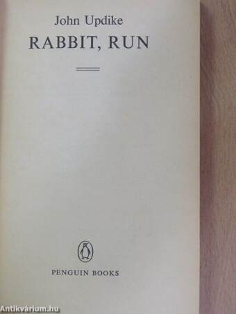 Rabbit, Run