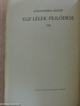 Egy lélek fejlődése VIII.