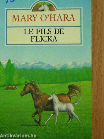 Le fils de Flicka