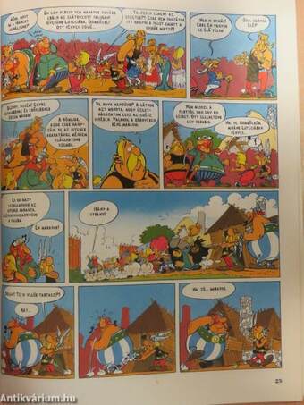 Asterix - A látnok