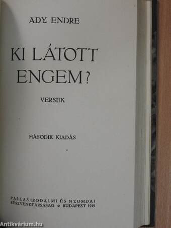 Új versek/A menekülő élet/Ki látott engem?