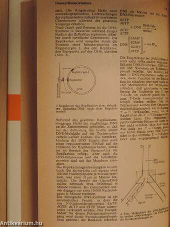 Brockhaus ABC Biochemie