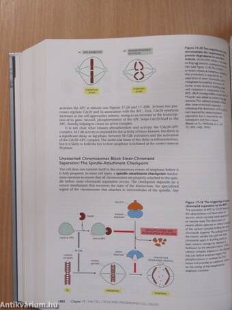 Molecular Biology of the Cell - CD-vel