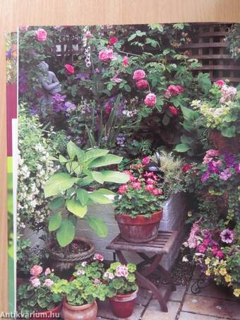 The Illustrated Practical Guide to Gardening for Seniors