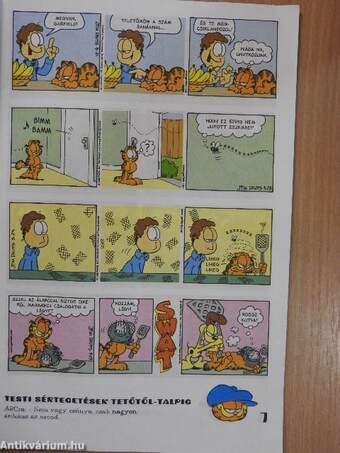 Garfield 1999/3.