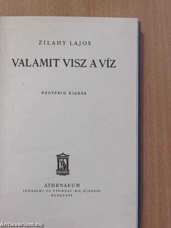 Valamit visz a víz