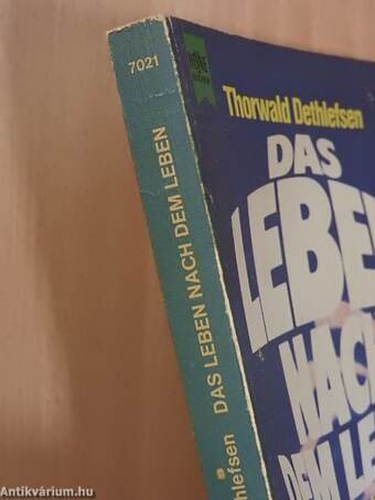 Das Leben nach dem Leben