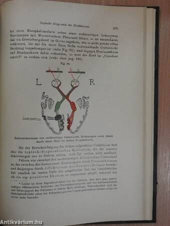 Kompendium der topischen Gehirn- und Rückenmarksdiagnostik