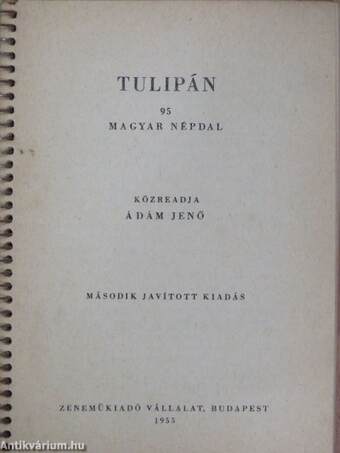 Tulipán