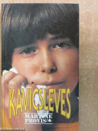 Kavicsleves