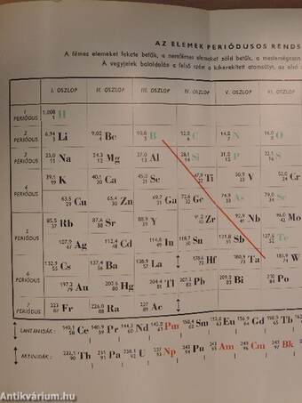 Az emberi test 1-2.