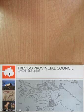 Treviso Provincial Council