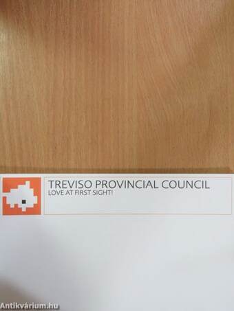 Treviso Provincial Council