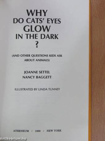 Why Do Cats' Eyes Glow in the Dark?