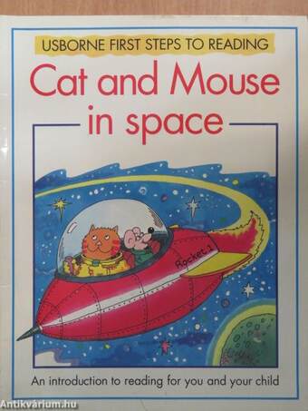 Cat and Mouse in space