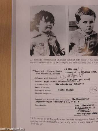 I was Doctor Mengele's Assistant