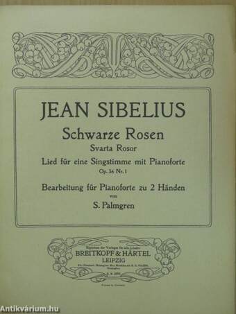 Schwarze Rosen