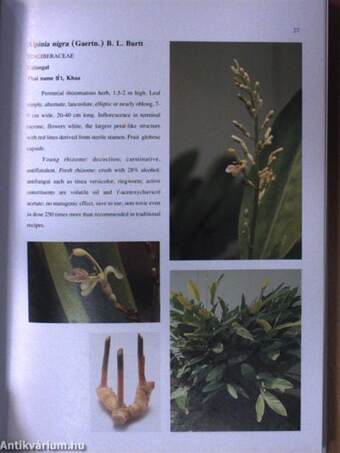 Medicinal Plants in Thailand I-II.