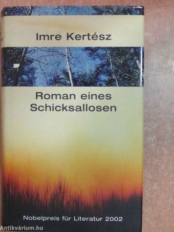 Roman eines Schicksallosen