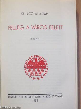 Felleg a város felett