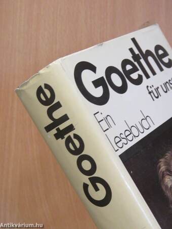 Goethe - Ein Lesebuch für unsere Zeit