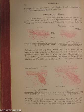 Lehrbuch der Histologie