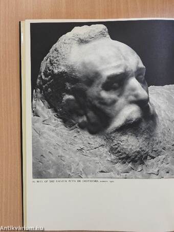 Rodin Sculptures