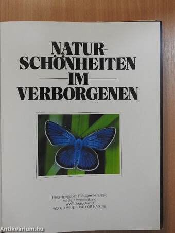 Naturschönheiten im Verborgenen