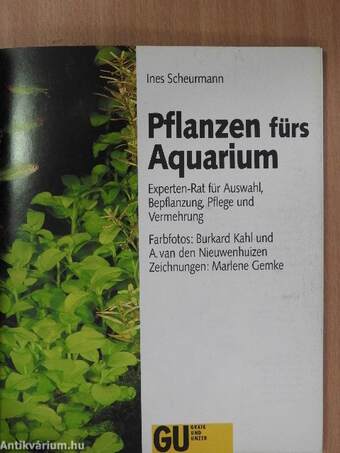 Pflanzen fürs Aquarium