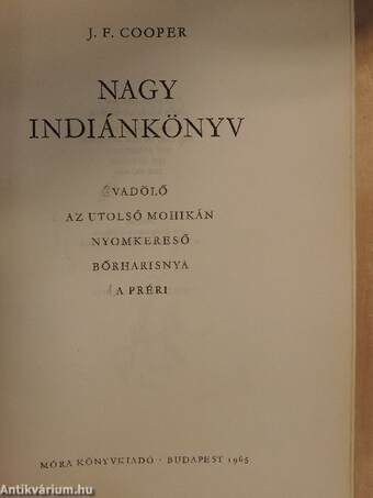 Nagy indiánkönyv