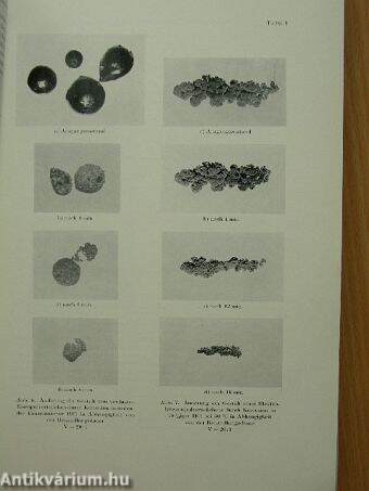 Bericht über die III. Internationale Pulvermetallurgische tagung in eisenach vom 13-15. Mai 1965.