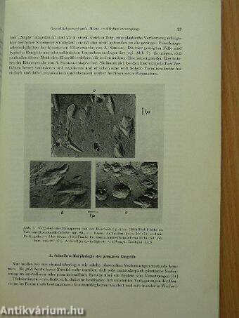 Vorträge zum festkolloquium anlässlich des 65. geburtstages von P. A. Thiessen