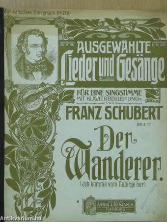 Der Wanderer