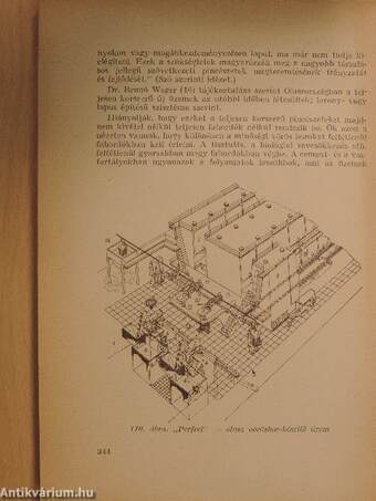 Üzemi szőlőfeldolgozás II.