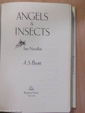 Angels & Insects