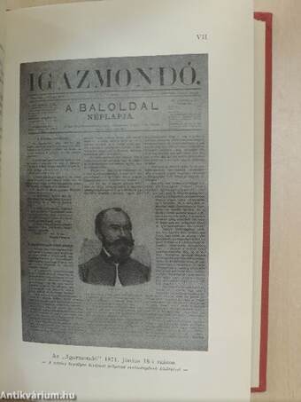 Ami a lelket megmérgezi/A batyus zsidó lánya/A lutri/A vármegye rókája/Függelék: Vázlatok és változatok