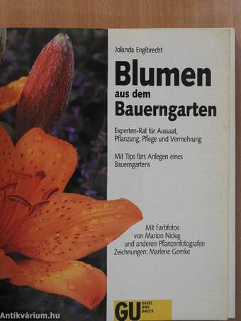 Blumen aus dem Bauerngarten