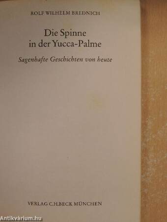 Die Spinne in der Yucca-Palme