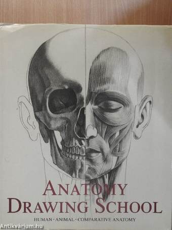 Anatomy Drawing School