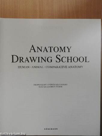 Anatomy Drawing School