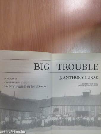 Big Trouble