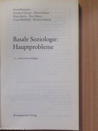 Basale Soziologie: Hauptprobleme