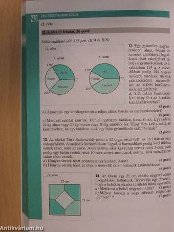 Matematika - Gyakorló és érettségire felkészítő feladatgyűjtemény II. - CD-vel