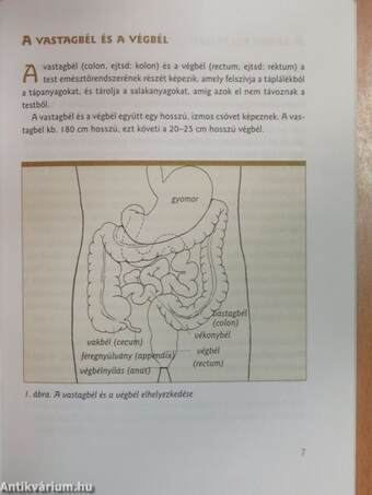 Amit a vastagbél- és végbélrákról tudni kell