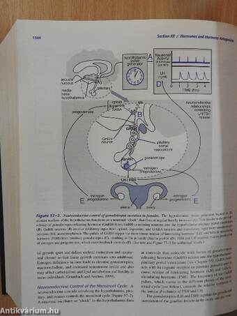 The Pharmacological Basis of Therapeutics