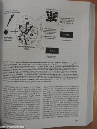 Hematology 2004