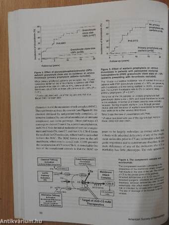 Hematology 2004