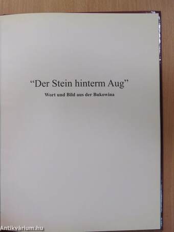 "Der Stein hinterm Aug"